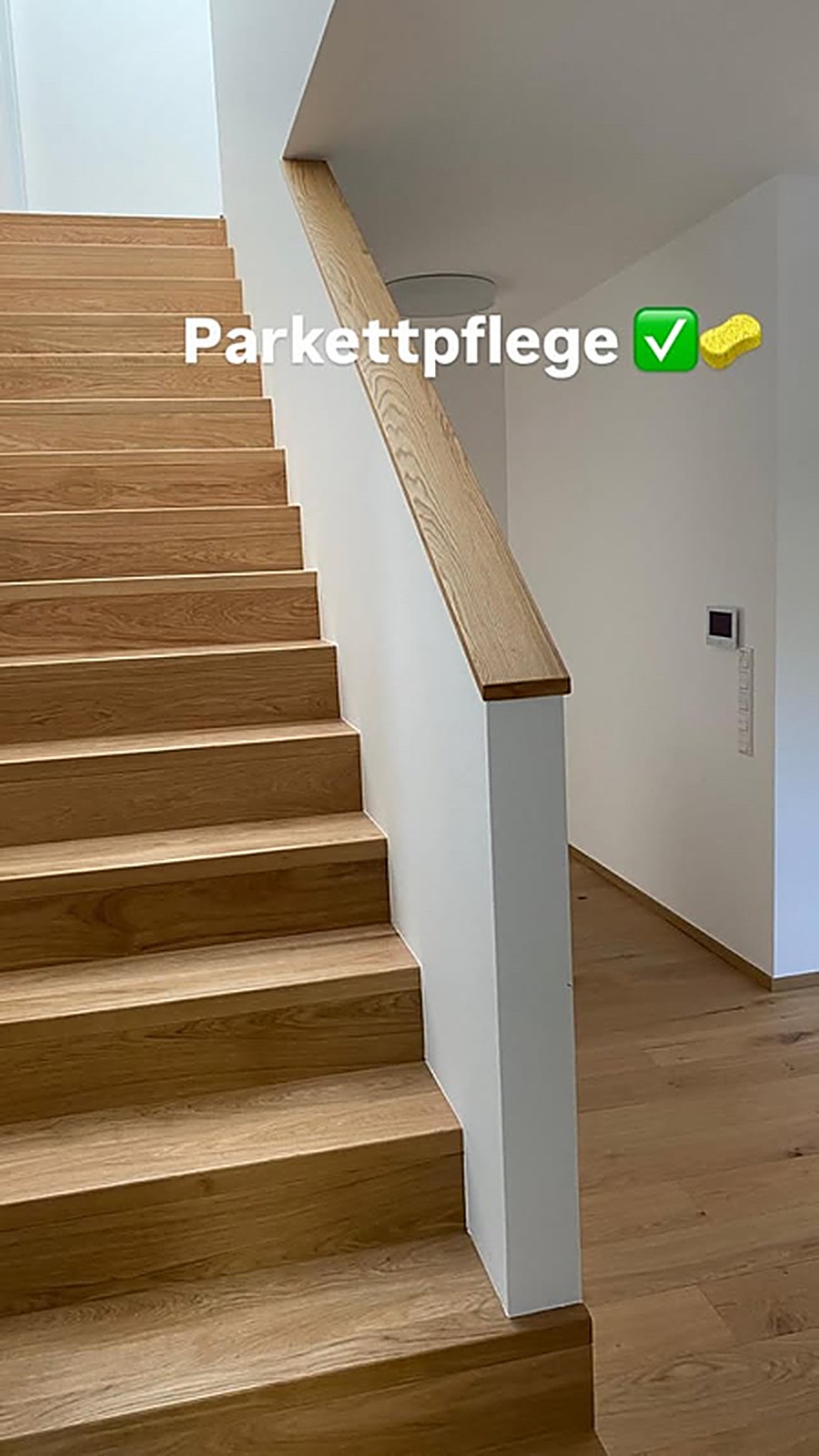 Einblick in ein Reinigungsprojekt von H.A.S Reinigung 18